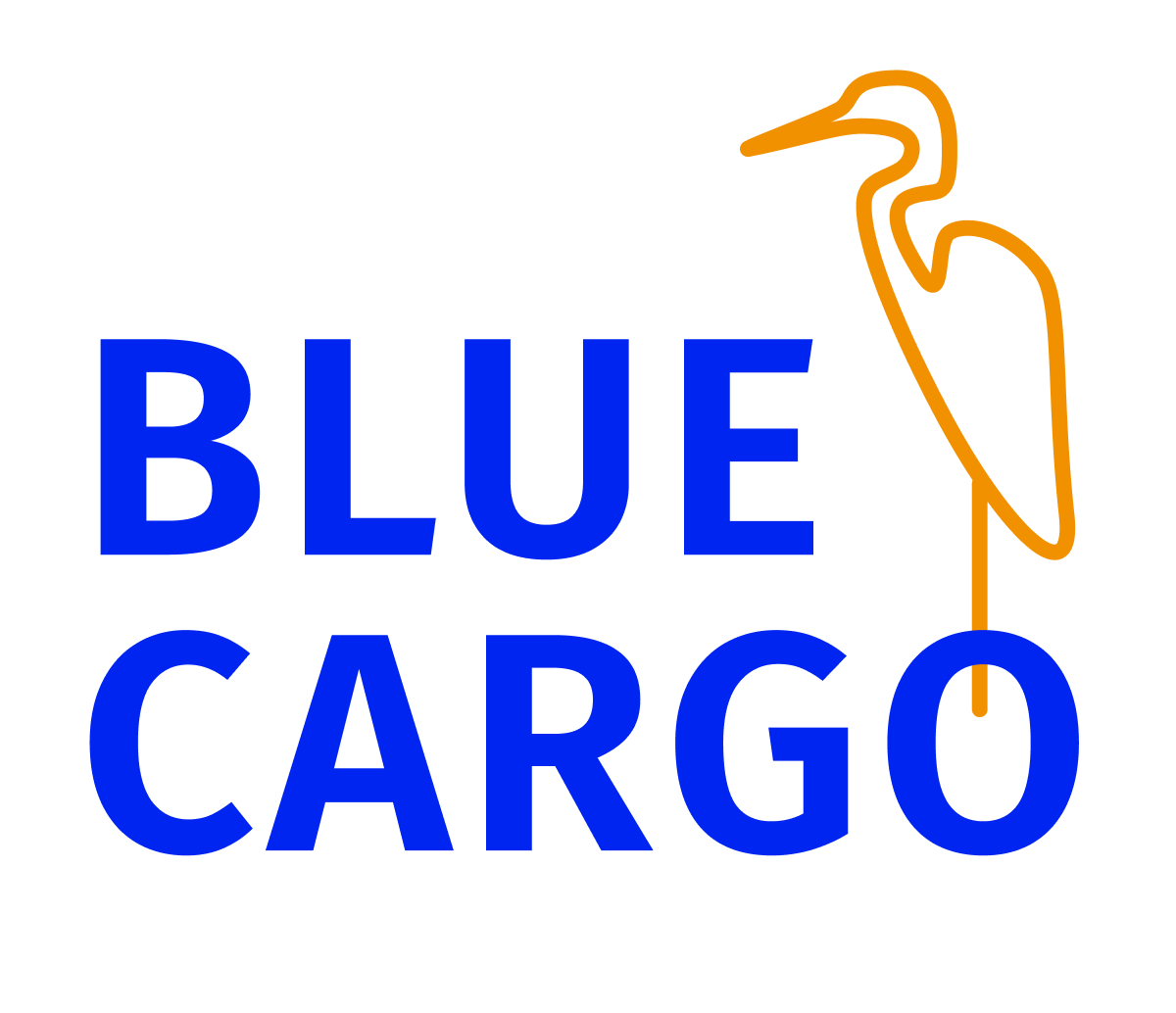 logo_blue_orange_transparent_300pxwide 2.png]